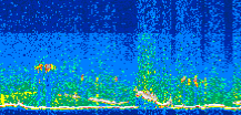 /calipso-imagery/data/BROWSE/production/V5-00/2019-06-07/2019-06-07_08-54-19_V5.00_3_thmb.png image missing
