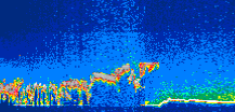 /calipso-imagery/data/BROWSE/production/V5-00/2019-06-07/2019-06-07_12-11-25_V5.00_1_thmb.png image missing