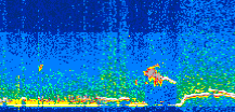 /calipso-imagery/data/BROWSE/production/V5-00/2019-06-07/2019-06-07_13-49-55_V5.00_3_thmb.png image missing