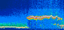/calipso-imagery/data/BROWSE/production/V5-00/2019-06-07/2019-06-07_22-02-36_V5.00_1_thmb.png image missing
