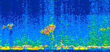 /calipso-imagery/data/BROWSE/production/V5-00/2019-06-07/2019-06-07_22-02-36_V5.00_2_thmb.png image missing
