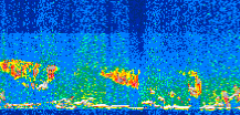 /calipso-imagery/data/BROWSE/production/V5-00/2019-06-07/2019-06-07_23-41-11_V5.00_3_thmb.png image missing