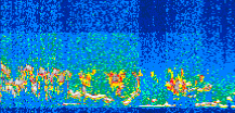 /calipso-imagery/data/BROWSE/production/V5-00/2019-06-08/2019-06-08_07-53-47_V5.00_3_thmb.png image missing