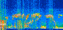 /calipso-imagery/data/BROWSE/production/V5-00/2019-06-08/2019-06-08_17-45-04_V5.00_2_thmb.png image missing