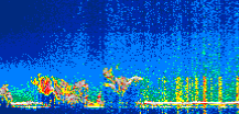 /calipso-imagery/data/BROWSE/production/V5-00/2019-06-08/2019-06-08_19-23-34_V5.00_1_thmb.png image missing