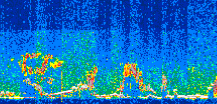 /calipso-imagery/data/BROWSE/production/V5-00/2019-06-08/2019-06-08_22-40-39_V5.00_3_thmb.png image missing