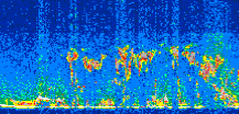 /calipso-imagery/data/BROWSE/production/V5-00/2019-06-09/2019-06-09_05-14-45_V5.00_2_thmb.png image missing