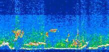 /calipso-imagery/data/BROWSE/production/V5-00/2019-06-09/2019-06-09_08-31-51_V5.00_3_thmb.png image missing