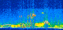 /calipso-imagery/data/BROWSE/production/V5-00/2019-06-09/2019-06-09_11-48-56_V5.00_2_thmb.png image missing