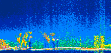 /calipso-imagery/data/BROWSE/production/V5-00/2019-06-09/2019-06-09_13-27-26_V5.00_1_thmb.png image missing