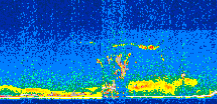 /calipso-imagery/data/BROWSE/production/V5-00/2019-06-09/2019-06-09_13-27-26_V5.00_2_thmb.png image missing