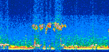 /calipso-imagery/data/BROWSE/production/V5-00/2019-06-09/2019-06-09_23-18-38_V5.00_2_thmb.png image missing