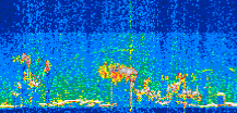 /calipso-imagery/data/BROWSE/production/V5-00/2019-07-06/2019-07-06_02-37-55_V5.00_3_thmb.png image missing