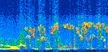 /calipso-imagery/data/BROWSE/production/V5-00/2019-07-06/2019-07-06_04-16-25_V5.00_2_thmb.png image missing