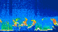 /calipso-imagery/data/BROWSE/production/V5-00/2019-07-06/2019-07-06_04-16-25_V5.00_4_thmb.png image missing