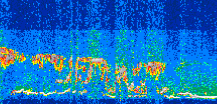 /calipso-imagery/data/BROWSE/production/V5-00/2019-07-06/2019-07-06_05-55-01_V5.00_3_thmb.png image missing