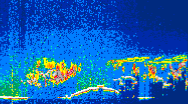 /calipso-imagery/data/BROWSE/production/V5-00/2019-07-06/2019-07-06_05-55-01_V5.00_4_thmb.png image missing