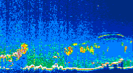 /calipso-imagery/data/BROWSE/production/V5-00/2019-07-06/2019-07-06_09-12-01_V5.00_4_thmb.png image missing
