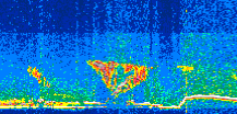 /calipso-imagery/data/BROWSE/production/V5-00/2019-07-06/2019-07-06_14-07-37_V5.00_3_thmb.png image missing