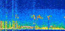 /calipso-imagery/data/BROWSE/production/V5-00/2019-07-06/2019-07-06_17-24-42_V5.00_2_thmb.png image missing