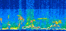 /calipso-imagery/data/BROWSE/production/V5-00/2019-07-06/2019-07-06_17-24-42_V5.00_3_thmb.png image missing