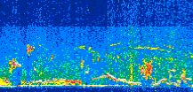/calipso-imagery/data/BROWSE/production/V5-00/2019-07-06/2019-07-06_19-03-12_V5.00_3_thmb.png image missing
