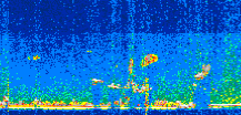 /calipso-imagery/data/BROWSE/production/V5-00/2019-07-06/2019-07-06_22-20-18_V5.00_2_thmb.png image missing