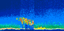/calipso-imagery/data/BROWSE/production/V5-00/2019-07-07/2019-07-07_04-54-24_V5.00_1_thmb.png image missing