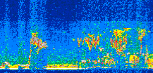 /calipso-imagery/data/BROWSE/production/V5-00/2019-07-07/2019-07-07_08-11-29_V5.00_2_thmb.png image missing