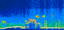 /calipso-imagery/data/BROWSE/production/V5-00/2019-07-07/2019-07-07_13-07-05_V5.00_1_thmb.png image missing