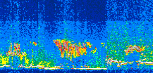 /calipso-imagery/data/BROWSE/production/V5-00/2019-07-07/2019-07-07_13-07-05_V5.00_3_thmb.png image missing
