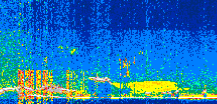 /calipso-imagery/data/BROWSE/production/V5-00/2019-07-07/2019-07-07_16-24-05_V5.00_2_thmb.png image missing