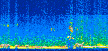 /calipso-imagery/data/BROWSE/production/V5-00/2019-07-07/2019-07-07_21-19-41_V5.00_2_thmb.png image missing