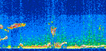 /calipso-imagery/data/BROWSE/production/V5-00/2019-07-07/2019-07-07_22-58-11_V5.00_2_thmb.png image missing