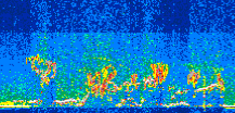 /calipso-imagery/data/BROWSE/production/V5-00/2019-07-08/2019-07-08_00-36-46_V5.00_3_thmb.png image missing
