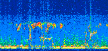 /calipso-imagery/data/BROWSE/production/V5-00/2019-07-08/2019-07-08_02-15-16_V5.00_2_thmb.png image missing
