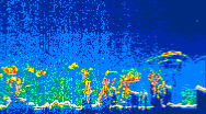 /calipso-imagery/data/BROWSE/production/V5-00/2019-07-08/2019-07-08_08-49-22_V5.00_4_thmb.png image missing