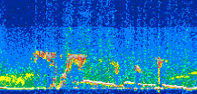 /calipso-imagery/data/BROWSE/production/V5-00/2019-07-08/2019-07-08_12-06-28_V5.00_3_thmb.png image missing