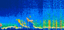 /calipso-imagery/data/BROWSE/production/V5-00/2019-07-08/2019-07-08_13-44-58_V5.00_1_thmb.png image missing