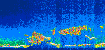 /calipso-imagery/data/BROWSE/production/V5-00/2019-07-08/2019-07-08_21-57-39_V5.00_1_thmb.png image missing