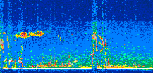 /calipso-imagery/data/BROWSE/production/V5-00/2019-07-09/2019-07-09_01-14-44_V5.00_2_thmb.png image missing