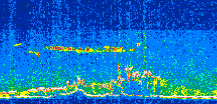 /calipso-imagery/data/BROWSE/production/V5-00/2019-07-09/2019-07-09_11-05-51_V5.00_2_thmb.png image missing