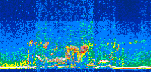 /calipso-imagery/data/BROWSE/production/V5-00/2019-07-09/2019-07-09_11-05-51_V5.00_3_thmb.png image missing