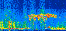 /calipso-imagery/data/BROWSE/production/V5-00/2019-07-09/2019-07-09_19-18-32_V5.00_2_thmb.png image missing