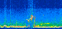 /calipso-imagery/data/BROWSE/production/V5-00/2019-07-09/2019-07-09_20-57-02_V5.00_2_thmb.png image missing