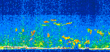 /calipso-imagery/data/BROWSE/production/V5-00/2019-07-09/2019-07-09_22-35-37_V5.00_3_thmb.png image missing
