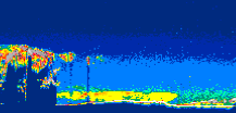 /calipso-imagery/data/BROWSE/production/V5-00/2019-08-01/2019-08-01_00-13-57_V5.00_2_thmb.png image missing