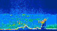 /calipso-imagery/data/BROWSE/production/V5-00/2019-08-01/2019-08-01_01-00-17_V5.00_4_thmb.png image missing