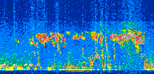 /calipso-imagery/data/BROWSE/production/V5-00/2019-08-01/2019-08-01_02-38-47_V5.00_2_thmb.png image missing