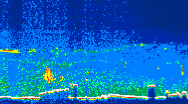/calipso-imagery/data/BROWSE/production/V5-00/2019-08-01/2019-08-01_02-38-47_V5.00_4_thmb.png image missing